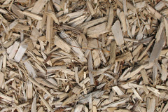 biomass boilers Birchencliffe